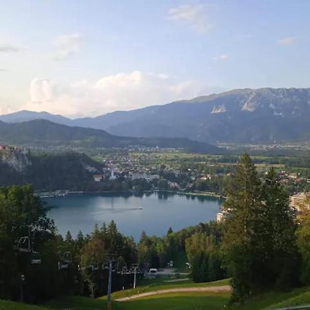 Apartment Mojca Near Bled Zabreznica 外观 照片