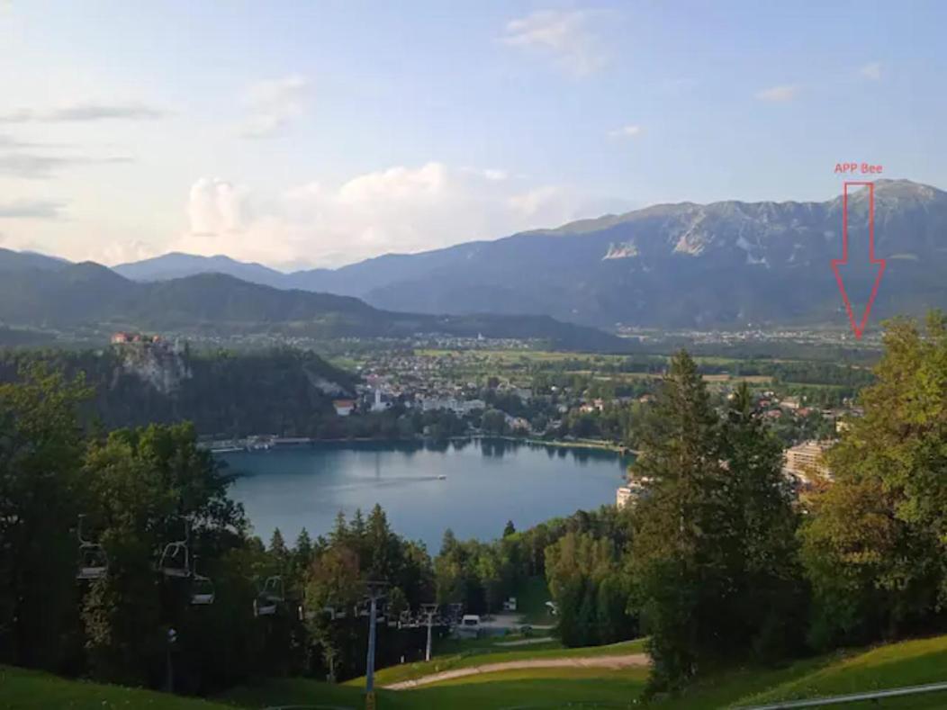 Apartment Mojca Near Bled Zabreznica 外观 照片