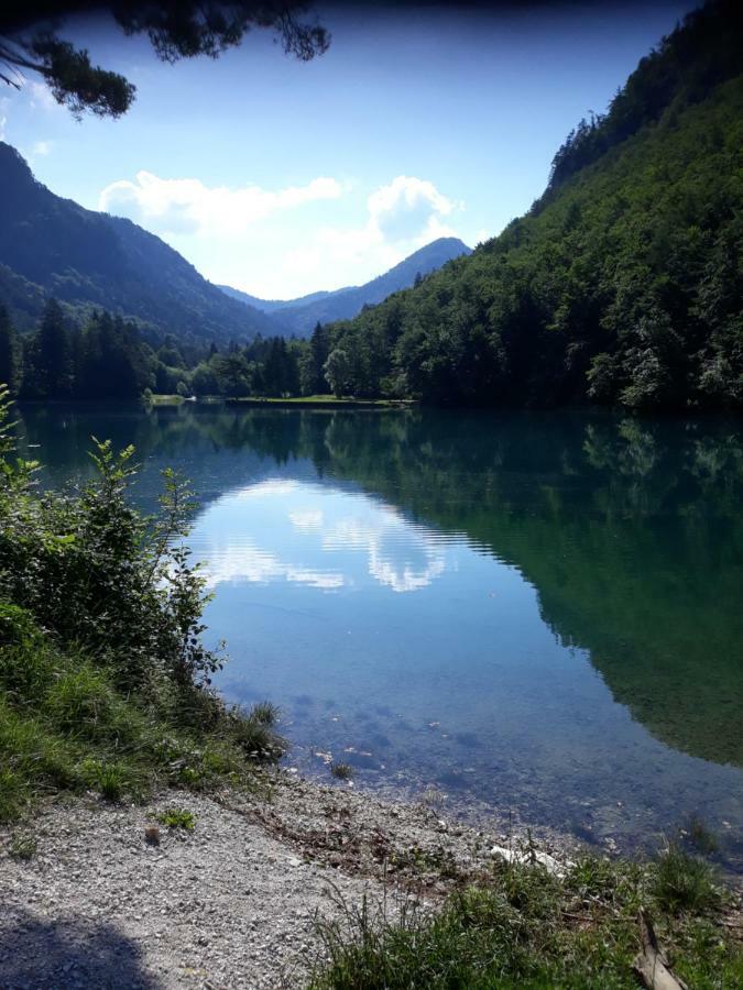 Apartment Mojca Near Bled Zabreznica 外观 照片